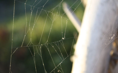 Young Man In The City